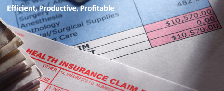 Service Organization Consulting Services